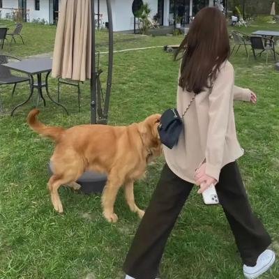 豪姬